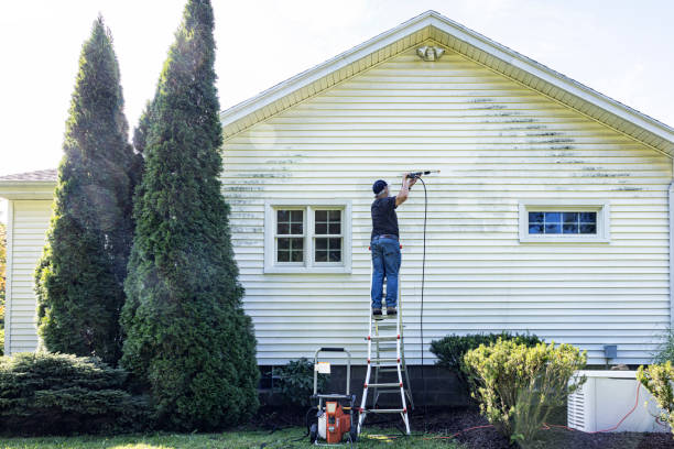 Spring Cleaning in Mountain Lodge Park, NY
